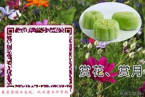 大奶熟女一枚 第3张