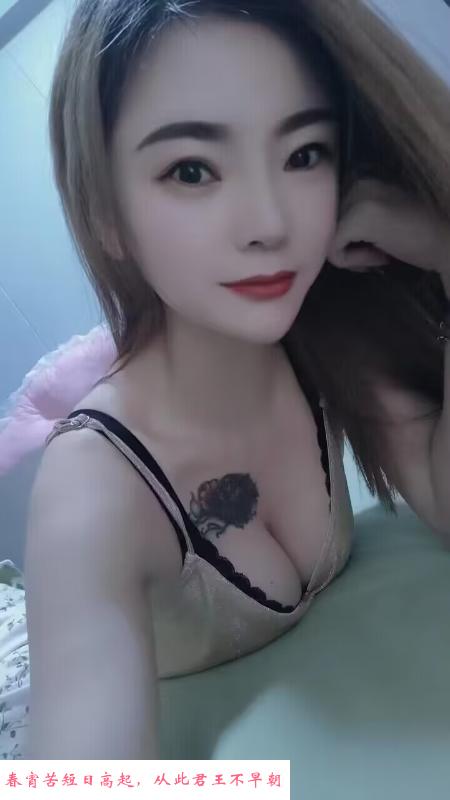 宝安性感小猫咪 第1张