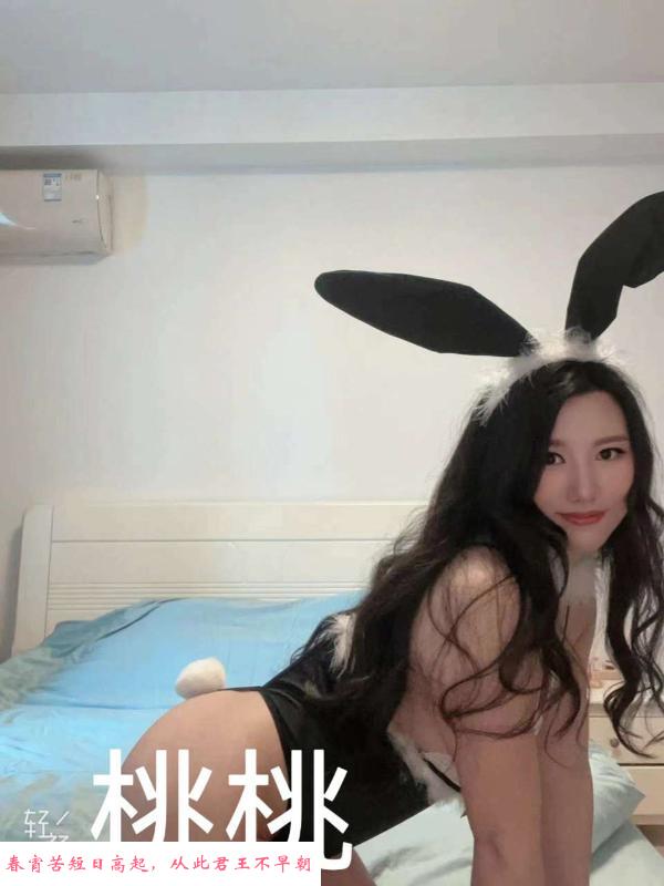 新区兔女郎 第1张