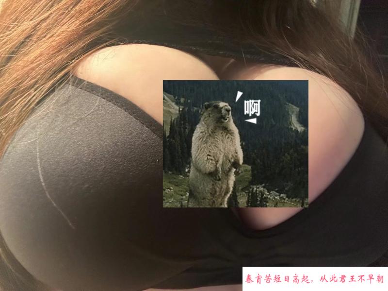 奉贤巨乳妹子体验 第3张