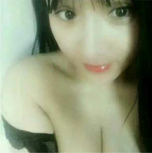 验证小鹿归来 第1张
